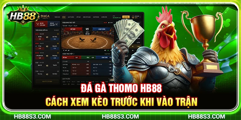 Đá Gà Thomo HB88 – Cách Xem Kèo Trước Khi Vào Trận Chuẩn Xác