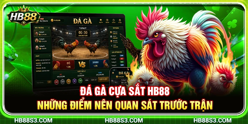 Đá Gà Cựa Sắt HB88 – Những Điểm Nên Quan Sát Trước Trận