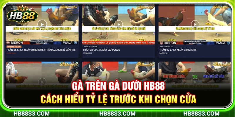 Gà Trên Gà Dưới HB88 – Cách Hiểu Tỷ Lệ Trước Khi Chọn Cửa