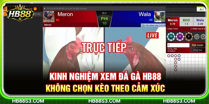 Kinh Nghiệm Xem Đá Gà HB88 Không Chọn Kèo Theo Cảm Xúc
