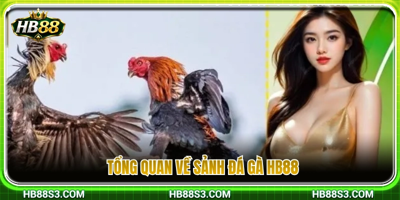 Giới thiệu chung về chuyên mục đá gà HB88 