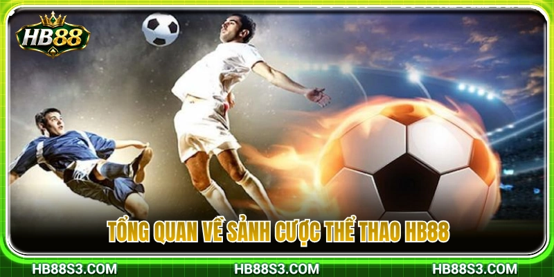Giới thiệu chung về chuyên mục cá cược thể thao HB88 
