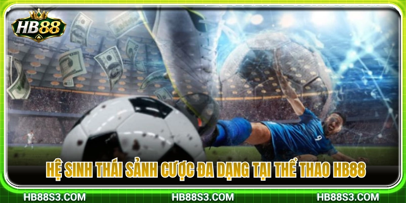 Danh mục các sảnh thể thao phong phú tại hệ thống