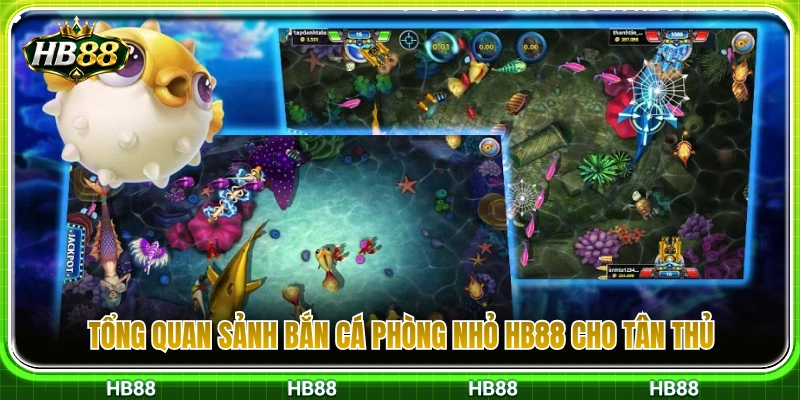 Tìm hiểu sảnh cược bắn cá phòng nhỏ HB88 cho người mới 