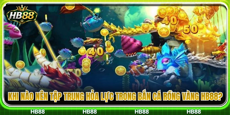 Thời điểm vàng để dồn hỏa lực bắn cá rồng vàng HB88 