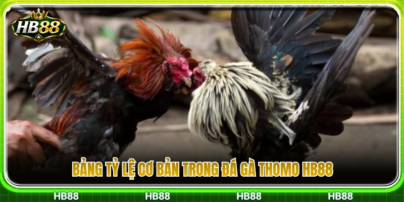 Các mức cược tiêu chuẩn trong đá gà Thomo HB88 