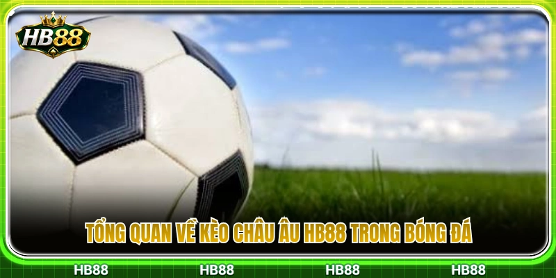 Đôi nét khái quát về cược kèo châu Âu HB88 môn bóng đá 
