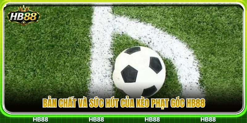 Ý nghĩa cốt lõi và sức hấp dẫn của kèo phạt góc HB88 