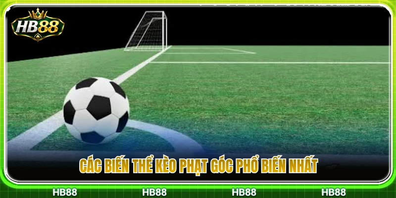Phân loại các biến thể cược phạt góc phổ biến trong bóng đá 